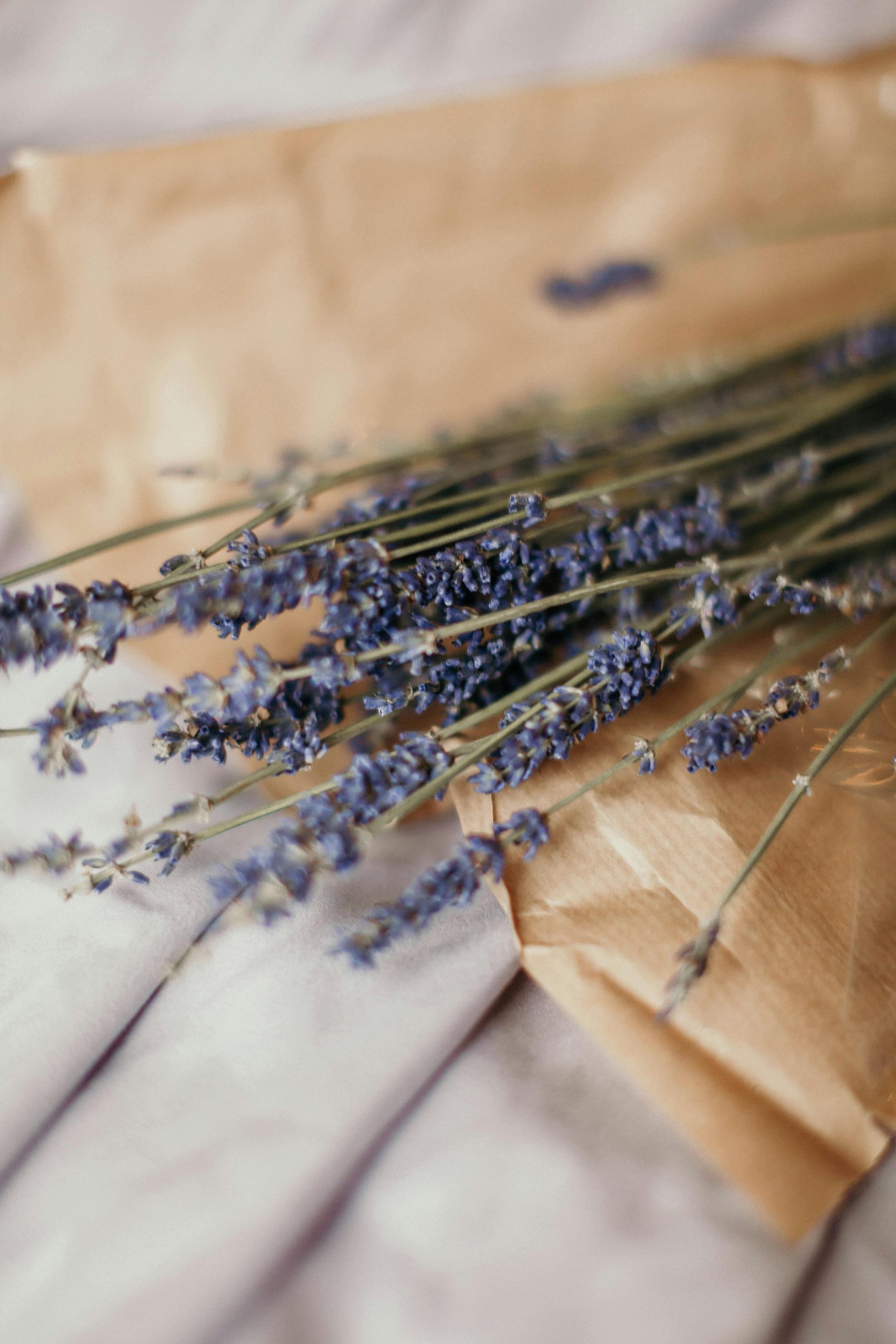 lavender for stress relief