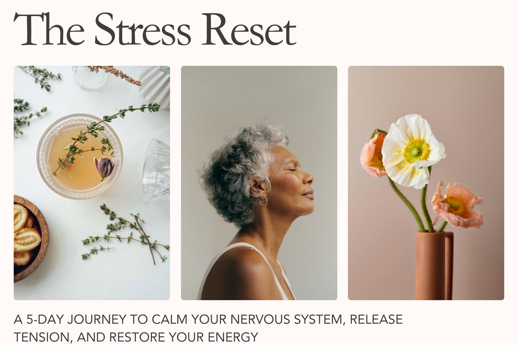 The Stress Reset